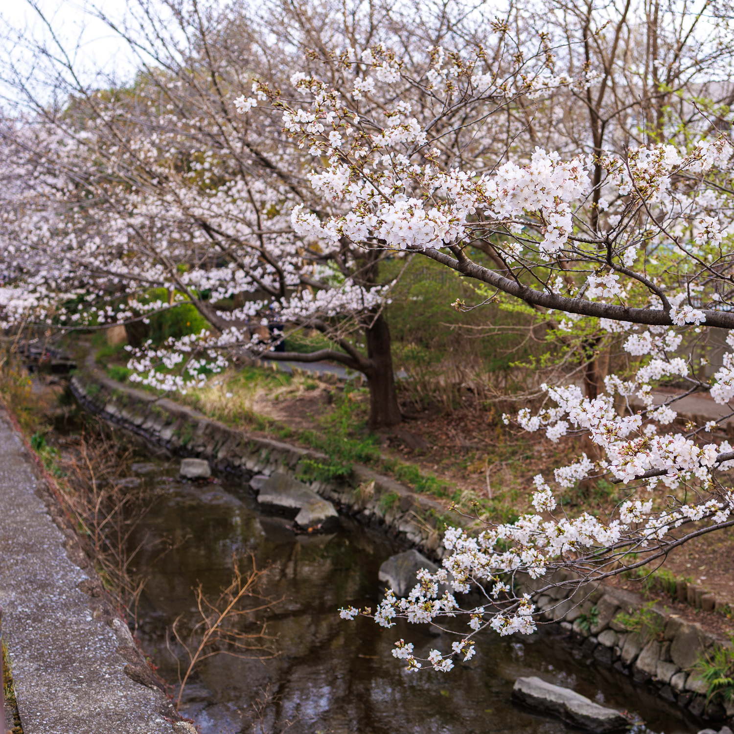 市ノ坪上町会の景色
