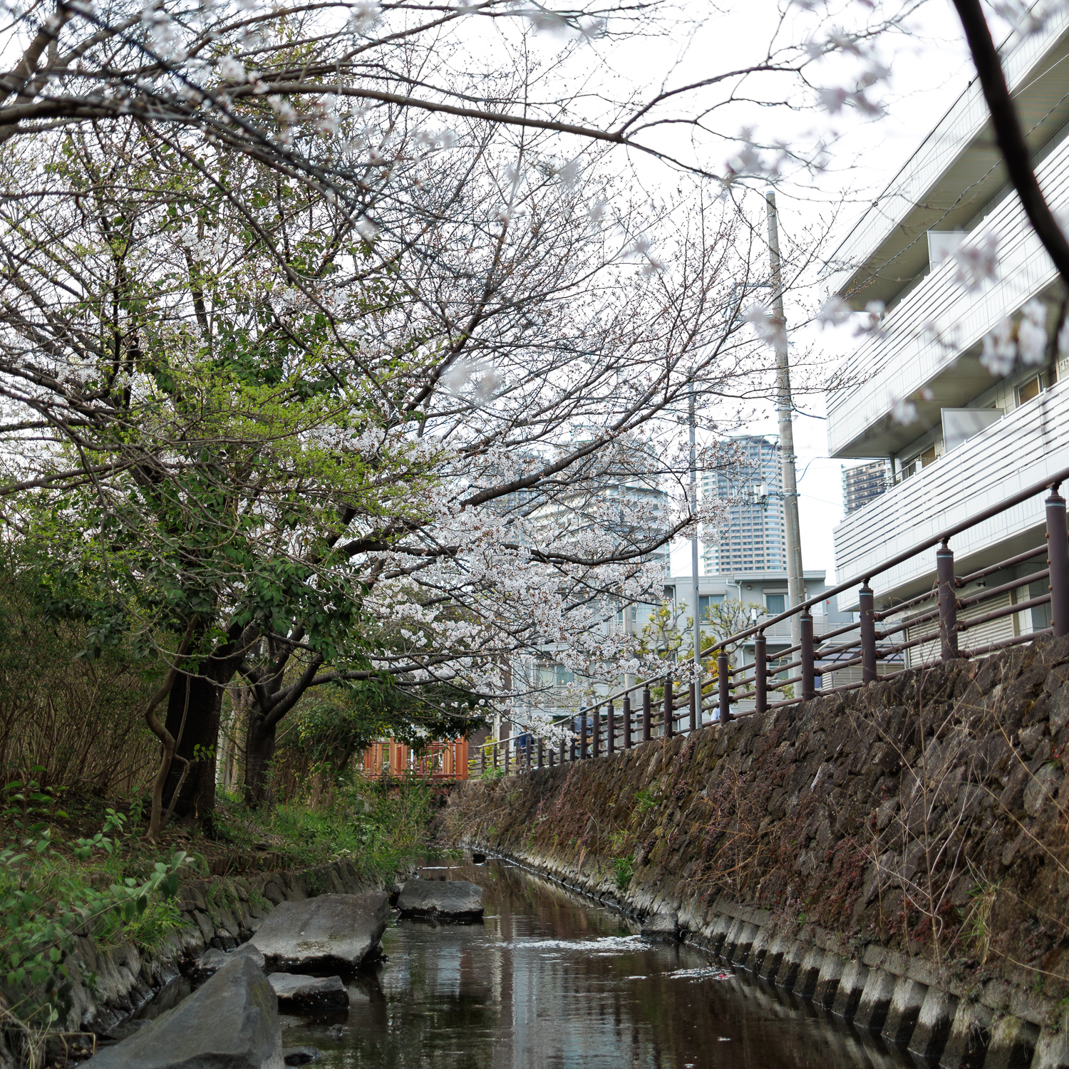 市ノ坪上町会の景色