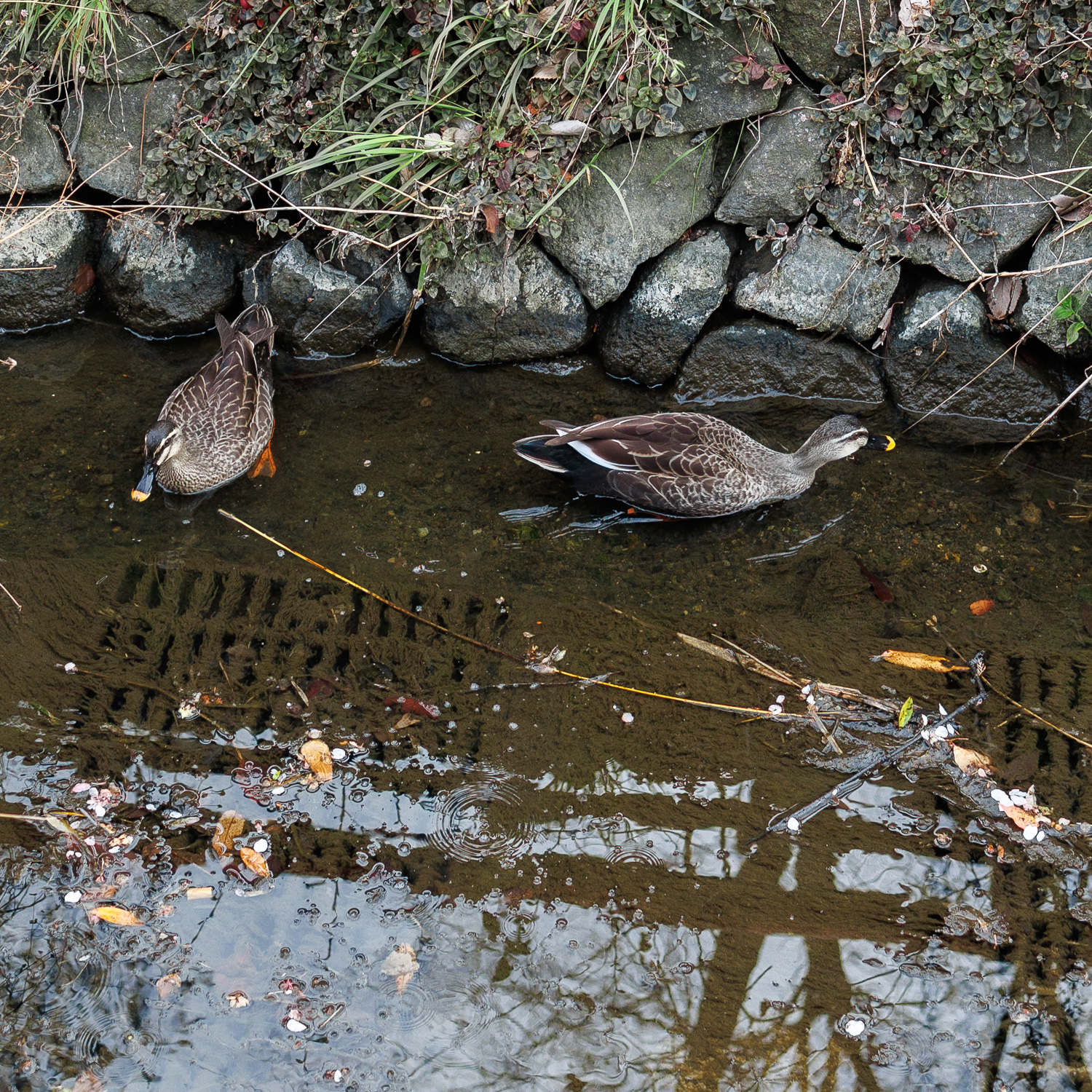 市ノ坪上町会の景色