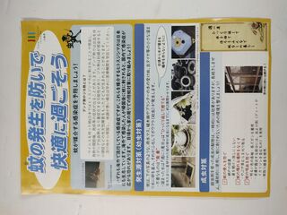 IMG_20260619_101538.jpg